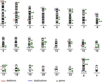 Genetic heterogeneity in corpus callosum agenesis